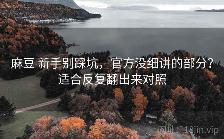 麻豆 新手别踩坑，官方没细讲的部分？适合反复翻出来对照