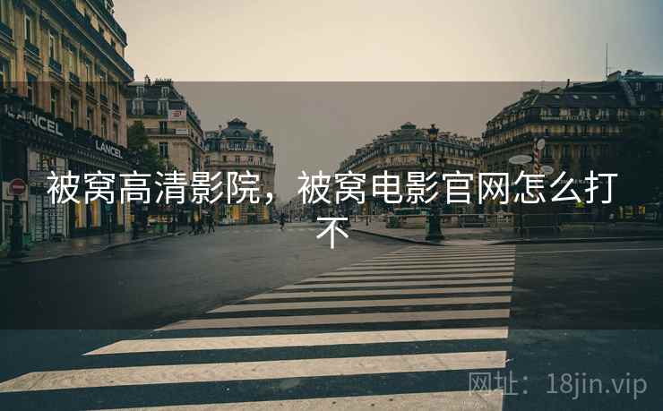 被窝高清影院，被窝电影官网怎么打不