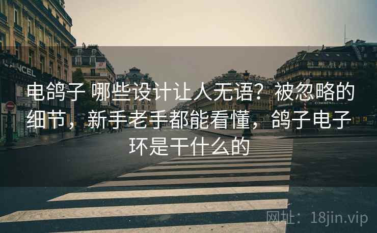 电鸽子 哪些设计让人无语？被忽略的细节，新手老手都能看懂，鸽子电子环是干什么的