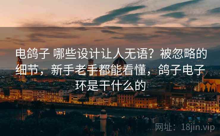 电鸽子 哪些设计让人无语？被忽略的细节，新手老手都能看懂，鸽子电子环是干什么的