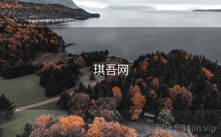 琪吾网