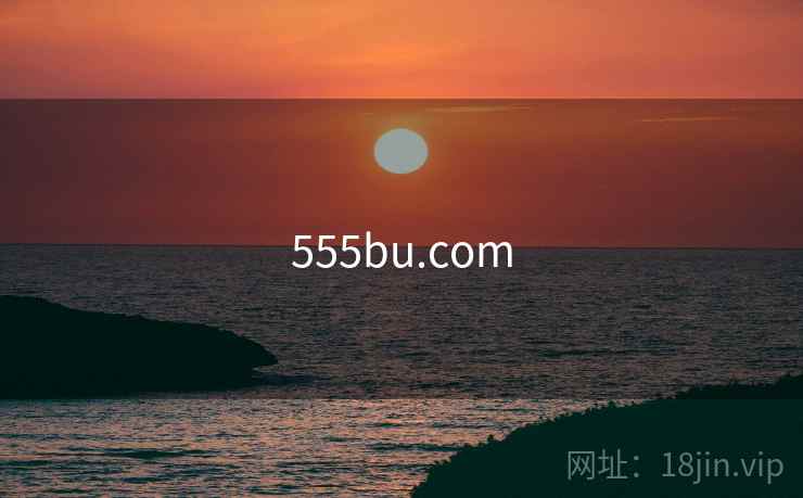 555bu.com