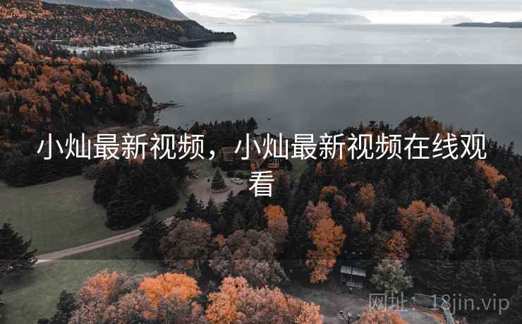 小灿最新视频，小灿最新视频在线观看